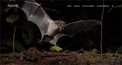 Desktop Screenshot of blue-oak.net